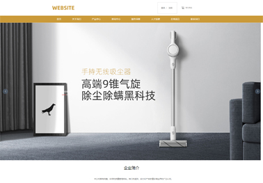 專業(yè)團隊的網(wǎng)站建設(shè)與在線預(yù)約管理