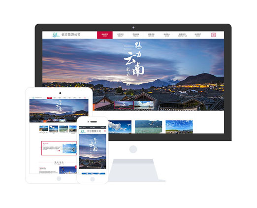 國內(nèi)旅游服務(wù)公司