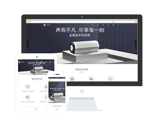 專(zhuān)業(yè)音響公司