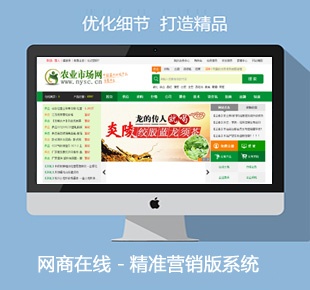 行業(yè)網(wǎng)站建設門戶網(wǎng)站模板