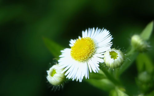 網(wǎng)站建設(shè)的好處