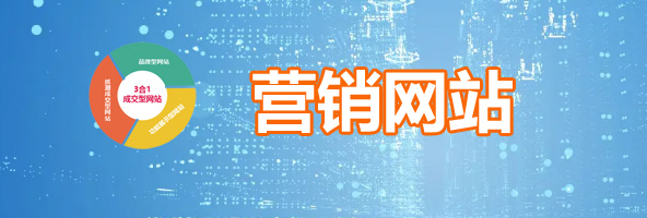 營銷網(wǎng)站建設(shè)